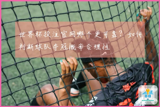 世界杯投注官网哪个更可靠？如何判断球队夺冠概率合理性